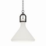 Lumi 1 Light Medium Pendant by Maxim - 12383