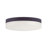 Illuminaire II 18W 1 LED 9 Inch Wide Round Flush Mount by Maxim - 57683CLFT