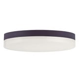 Illuminaire II 20W 1 LED 11 Inch Wide Round Flush Mount by Maxim - 57684CLFT