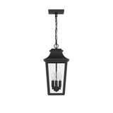 Spring Cove 3 Light Lantern Pendant 16.25 Inch Tall X 8 Inch Wide by Hunter - 46084