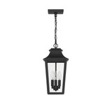 Spring Cove 3 Light Lantern Pendant 16.25 Inch Tall X 8 Inch Wide by Hunter - 46084