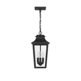 Spring Cove 3 Light Lantern Pendant 16.25 Inch Tall X 8 Inch Wide by Hunter - 46084