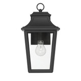 Spring Cove 1 Light Outdoor Wall Lantern 15 Inch and 8 Inch Wide by Hunter - 46080