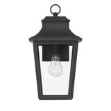 Spring Cove 1 Light Outdoor Wall Lantern 15 Inch and 8 Inch Wide by Hunter - 46080