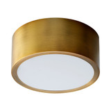 Peepers 8.2W 1 LED Flush Mount 2 Inch Tall and 4.75 Inch Wide by Oxygen - 3-600