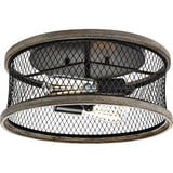 Austelle 2 Light 14 Inch Wide Semi Flush Mount by Progress - P350154