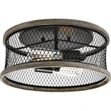 Austelle 2 Light 14 Inch Wide Semi Flush Mount by Progress - P350154