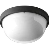 Bulkheads 1 LED Aluminum 9.5 Inch Wide Outdoor Flush Mount by Progress - P3648