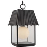 Point Dume Hook Pond 1 Light Pendant by Progress - P550117