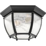 Roman Coach 2 Light 11 Inch Wide Outdoor Flush Mount by Progress - P6019