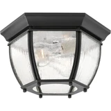 Roman Coach 2 Light 11 Inch Wide Outdoor Flush Mount by Progress - P6019