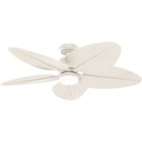 Coveview 5 Blade Ceiling Fan with Light Kit 52 Inch Wide by Casablanca Fans - 53723