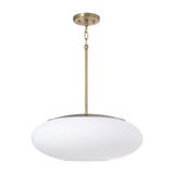 Soren 1 Light Pendant 8.25 Inch Tall and 20 Inch Wide by Capital - 360511