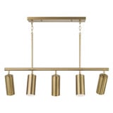 Robbie 5 Light Linear Chandelier 11.25 Inch Tall X 40 Inch Wide by Capital - 861751