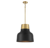 1 Light Large Pendant 18 Inch Tall by BSH - 2583-BEL-1107422