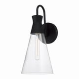 Paloma 1 Light Wall Sconce by Capital - 650311