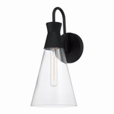 Paloma 1 Light Wall Sconce by Capital - 650311