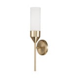 Devon 1 Light Wall Sconce by Capital - 652411