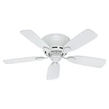 Low Profile 42 Inch Low Profile Ceiling Fan with Pull Chain by Hunter Fans - 1000078