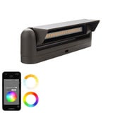 Linear 5W 1 LED Path and Area Light 2.88 Inch Tall X 2.19 Inch Wide by WAC - 6401-CS