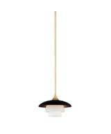 Barron 1 Light Small Pendant by Hudson Valley - 1010