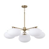 Soren 6 Light Chandelier 12.5 Inch Tall and 37 Inch Wide by Capital - 460561