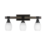 Tacoma 3 Light Steel Vanity Light 25.25 Inch Length by Toltec - 1843--1125-2525