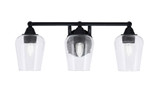 Paramount 3 Light Steel Vanity Light 21.75 Inch Length by Toltec - 3423-825-21