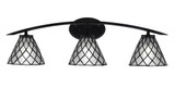 Kurve 3 Light Steel Vanity Light with Down Glass by Toltec - 3723-GP-302