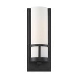 Caryle 1 Light Vanity Light by Nuvo - 60-678