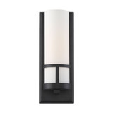 Caryle 1 Light Vanity Light by Nuvo - 60-678