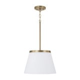 Drake 1 Light Pendant 9 Inch Tall and 13.25 Inch Wide by HomePlace - 361011