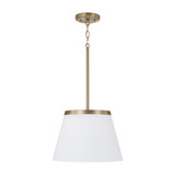 Drake 1 Light Pendant 9 Inch Tall and 13.25 Inch Wide by HomePlace - 361011