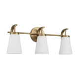 Drake 3 Light Bath Vanity 9 Inch Tall and 23 Inch Wide by HomePlace - 161031