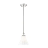 Fleur 1 Light Pendant 9.25 Inch Tall and 8 Inch Wide by Z Lite - 1958P8
