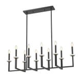 Gaultier 10 Light Linear Chandelier 12 Inch and 44.75 Inch Length by Z Lite - 6100-10L