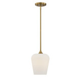 Octave 1 Light Pendant 10.5 Inch Tall and 8 Inch Wide by Savoy House - 7-6036-1