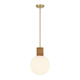Jarrell 1 Light Pendant 16.5 Inch Tall and 12 Inch Wide by Savoy House - 7-4082-1