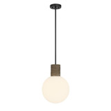 Jarrell 1 Light Pendant 16.5 Inch Tall and 12 Inch Wide by Savoy House - 7-4082-1