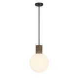 Jarrell 1 Light Pendant 16.5 Inch Tall and 12 Inch Wide by Savoy House - 7-4082-1
