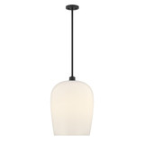 Livingston 1 Light Pendant 22.88 Inch Tall and 16 Inch Wide by Savoy House - 7-7209-1