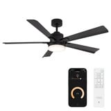 Radiant 5 Blade Ceiling Fan with Light Kit 56 Inch Wide by Modern Forms - FR-D2603-56A