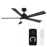 Radiant 5 Blade Ceiling Fan with Light Kit 56 Inch Wide by Modern Forms - FR-D2603-56A