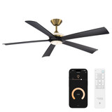 Crown 5 Blade Ceiling Fan with Light Kit 62 Inch Wide by Modern Forms - FR-D2602-62L