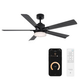 Radiant 5 Blade Ceiling Fan with Light Kit 56 Inch Wide by Modern Forms - FR-D2603-56C