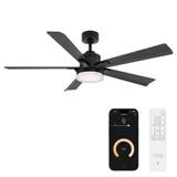 Radiant 5 Blade Ceiling Fan with Light Kit 56 Inch Wide by Modern Forms - FR-D2603-56C