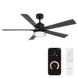 Radiant 5 Blade Ceiling Fan with Light Kit 56 Inch Wide by Modern Forms - FR-D2603-56L