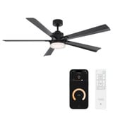 Radiant 5 Blade Ceiling Fan with Light Kit 64 Inch Wide by Modern Forms - FR-D2603-64C
