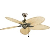 Windpointe 5 Blade Ceiling Fan 52 Inch Wide by Fanimation - FP7500