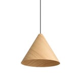 Conique 2 Light Pendant 13.75 Inch Tall and 17.75 Inch Wide by Golden - 3988-18